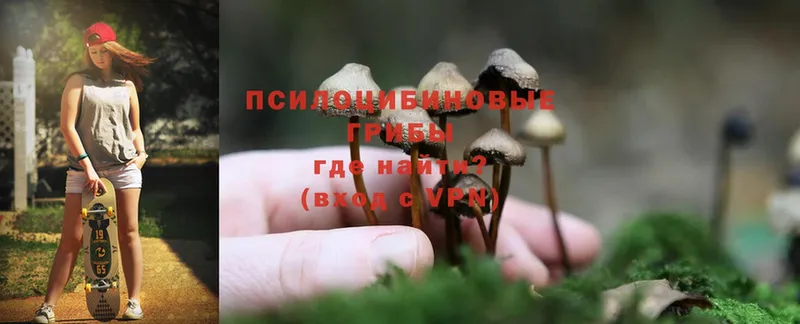 сайты даркнета клад  Тверь  Галлюциногенные грибы Cubensis  купить  сайты 