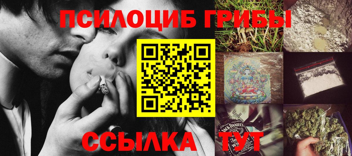 Галлюциногенные грибы MAGIC MUSHROOMS  Галлюциногенные грибы Psilocybe  наркошоп  Вход с VPN  Тверь 